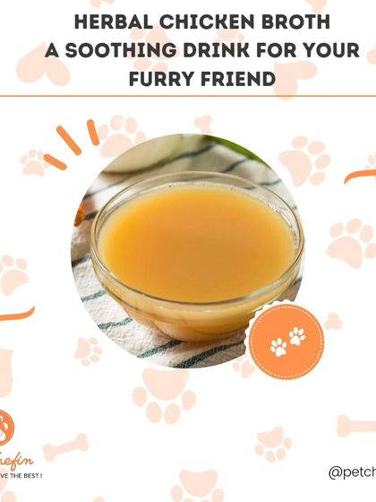 Keep your pup cozy this monsoon with our herbal chicken broth recipe. Packed with parsley and turmeric, it's a great way to boost their immunity. Add one of our air-dried chews as a topper for extra goodness.