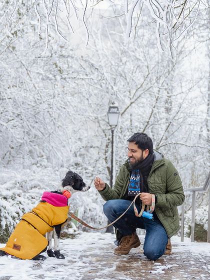 Rohit - Family & Pet Photography Seasonal Splendor: Spring & Autumn photo 18