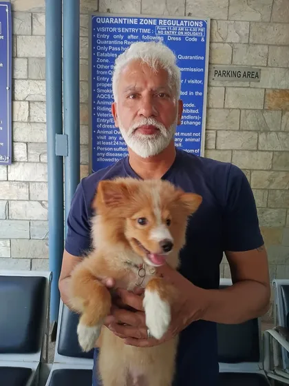 Here I am with Teddy at the AQCS office. Getting the final health certificates and export permits is a critical part of my service, ensuring a smooth departure.