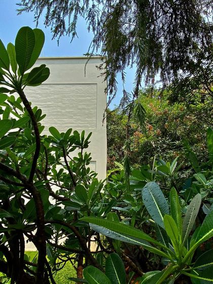 The 'Wedge Home' seen through its lush, mature garden, 23 years after construction.