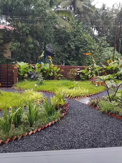 We designed and built this tropical garden for a beautiful villa in Goa. The project involved creating winding gravel pathways, defining garden beds with brick edging, and selecting a variety of plants like banana and frangipani to create a dense, layered look.