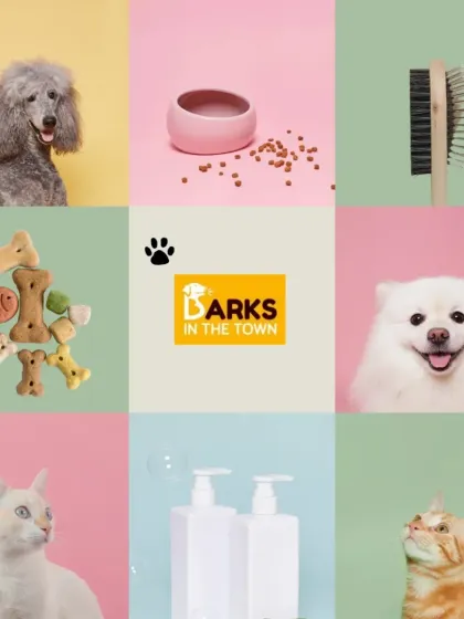 A collage representing the world of Barks In The Town. From different breeds of dogs and cats to treats and shampoos, we cover all aspects of pet care.