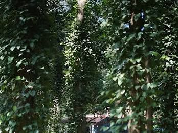 Spaces for Stillness photo 14