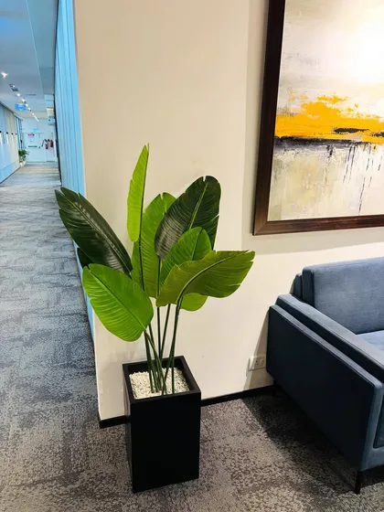 An artificial bird of paradise plant in a sleek black planter adds a touch of modern tropical style to this office hallway.