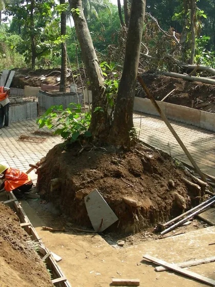 Construction at K-Lagoon, where workers build the foundation formwork directly around a preserved tree. This image captures our philosophy in action: architecture that makes space for nature, rather than displacing it.