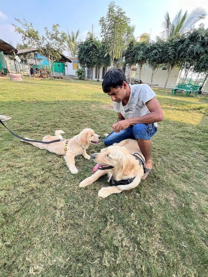 Poochkoo Mutts & Nutts - Dog Boarding & Daycare A Day at the Ranch: Daycare & Play photo 11