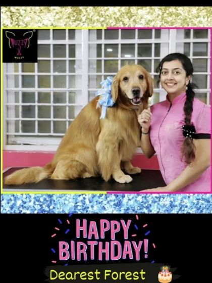 Fuzzy Wuzzy - Pet Grooming & Spa Spaniels, Retrievers & Large Breed Grooming photo 51