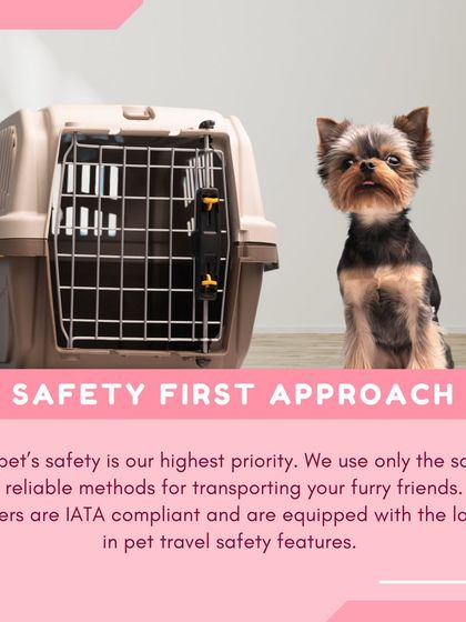 Global Pet Cab - Domestic Pet Relocation Your Pet Travel Questions, Answered photo 28