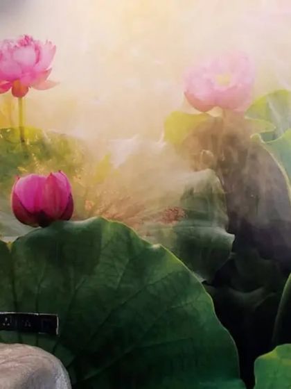 House360.in - Residential Wallpaper & Wall Mural Services Nature-Inspired & Tropical Murals photo 10