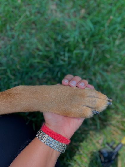 A symbol of the bond and trust that is the foundation of everything I do.