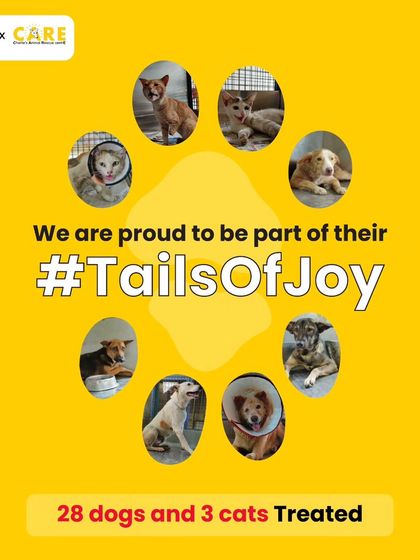 Charlie's Animal Rescue Centre - Community Outreach & Education The Power of Partnership: Corporate & Community Support photo 5