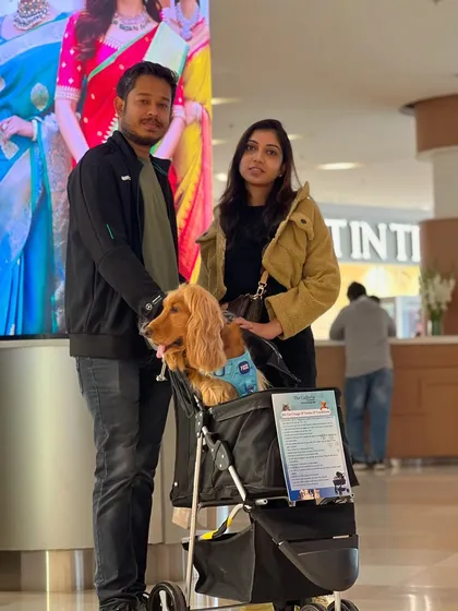 Our little family enjoying a day out at the mall.