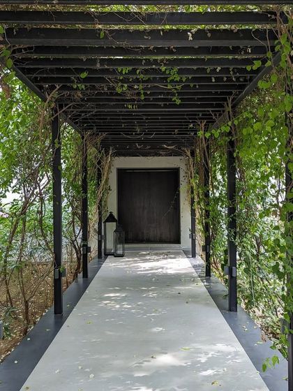The entrance walkway, covered in lush green vines, leads to the solid, dark wood of the front door. This contrast between natural growth and solid architecture is a recurring theme in our work.