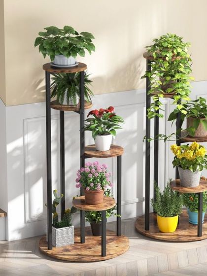 Hygrinz - Garden Design & Landscaping Our Plant & Flower Showcase photo 17