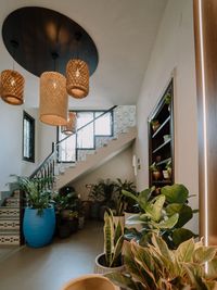 Residential & Commercial Landscaping