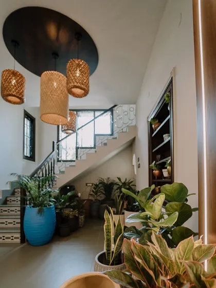 We believe greenery can elevate any interior. This beautiful entryway features a collection of our plants and planters, creating a warm and welcoming atmosphere that complements the home's luxury design and natural lighting.