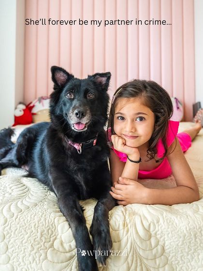 "She'll forever be my partner in crime." A girl and her black indie dog, Pakodi, lie on the bed, both looking confidently at the camera. This portrait perfectly captures their strong and inseparable bond.