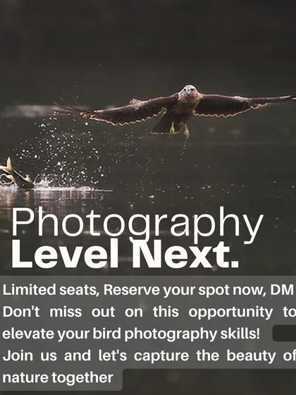 My goal is to help you take your photography to the next level. This workshop is a dedicated opportunity to elevate your skills and capture the beauty of nature together, creating dramatic images like this eagle securing its catch.