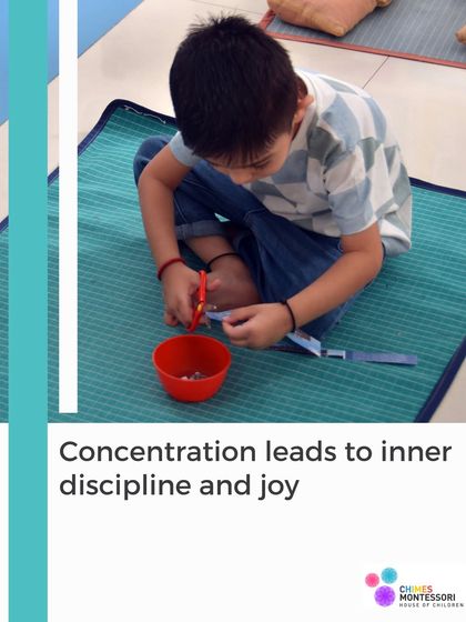 Chimes Montessori - Toddler Program (From 18 months) The Montessori Way: Learning for Life photo 48