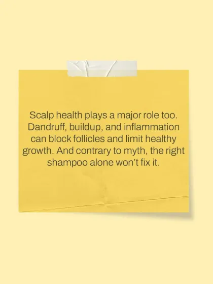 A healthy scalp is the foundation for healthy hair. Chronic dandruff, product buildup, and inflammation can block follicles and inhibit growth, which is why my treatment plans always include strategies to restore scalp health.