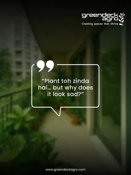 "Plant toh zinda hai, but why does it look sad?" This is a common question we hear. It often points to subtle issues like nutrient deficiency or incorrect watering, which we can fix.