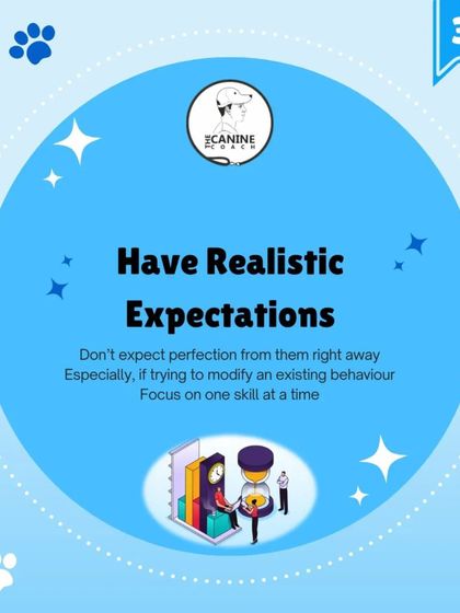 Tip 3: Have Realistic Expectations. Progress takes time. Focus on one skill at a time and celebrate small wins instead of expecting perfection right away.