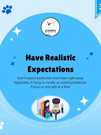 It's also crucial to have realistic expectations. Don't expect perfection right away, especially when modifying an old behavior. Focus on one skill at a time.