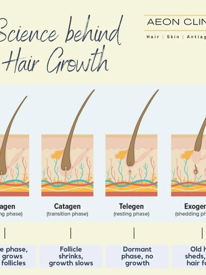 Understanding the science of hair growth is key. This graphic explains the four phases: Anagen (growing), Catagen (transition), Telogen (resting), and Exogen (shedding).