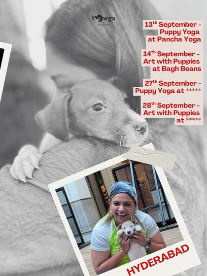 Our September event schedule for Hyderabad, featuring puppy yoga and art with puppies at various locations.