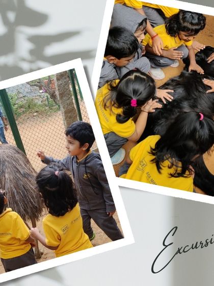 Ace Montessori - Summer Camp Outdoor Adventures & Excursions photo 15