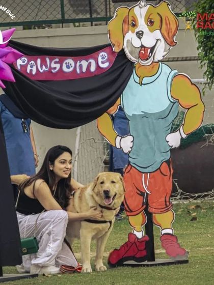 I create fun, themed photo booths for every event. This one, with a muscular dog cutout, was a popular spot for pet parents to get a memorable picture with their furry friend.