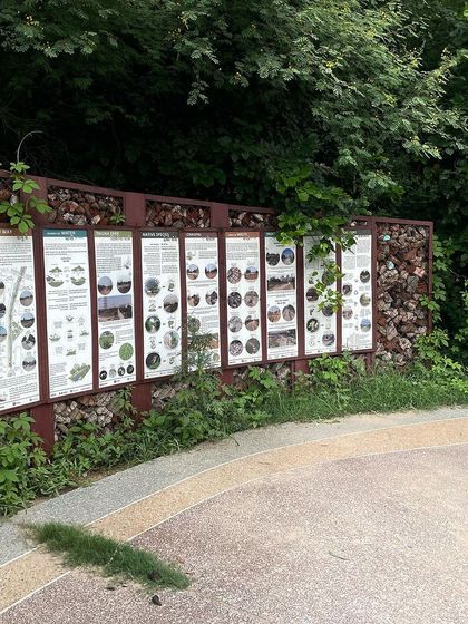 Informational signboards at the Badshahpur forest corridor, detailing the native flora and fauna that our restoration work supports.