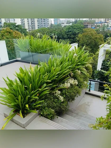 We use layered planting in our rooftop designs to create depth and interest. Here, tall grasses rise behind lower shrubs, leading the eye upwards and creating a sense of lushness.