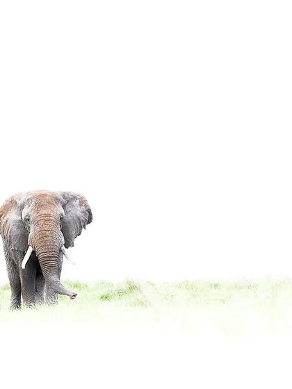 The Art of Seeing: Creative Compositions photo 23