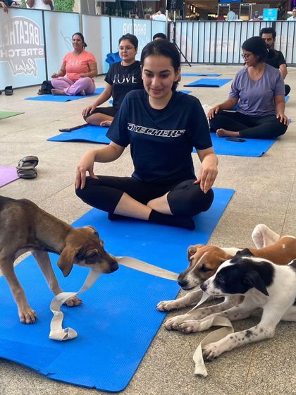 Charlie's Animal Rescue Centre - Community Outreach & Education The Power of Partnership: Corporate & Community Support photo 25