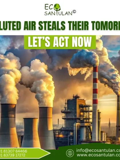 Eco Santulan - Solar Energy Solutions Our Environmental Mission photo 8