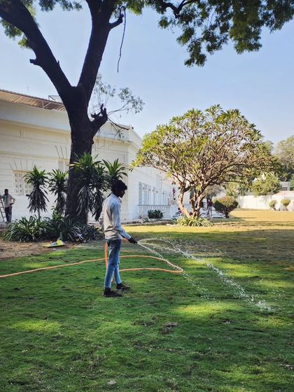 Delhi Gardner - Full-Service Landscaping Large-Scale Landscaping: Commercial & Residential Projects photo 69