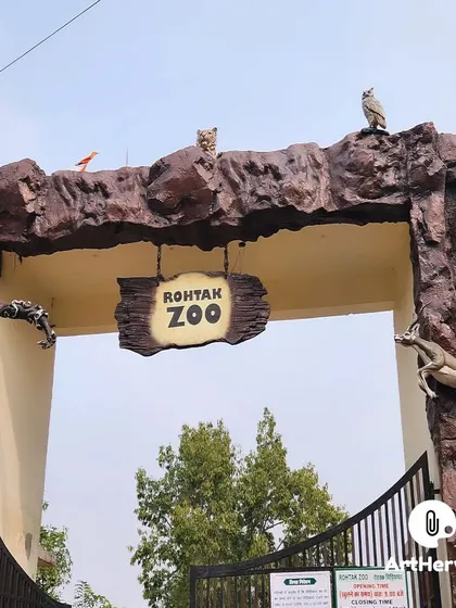 We designed and built the complete entry gate for the Rohtak Zoo. This project involved creating a large, rock-textured arch and integrating multiple, life-like animal sculptures, turning a simple entrance into a thematic experience.