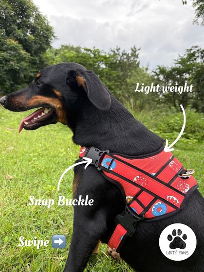 Here's a closer look at the donut print harness, highlighting its key features. It's lightweight for comfort and has a sturdy snap buckle for quick and easy fitting.