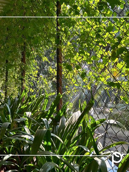 Indoor & Commercial Green Spaces photo 10