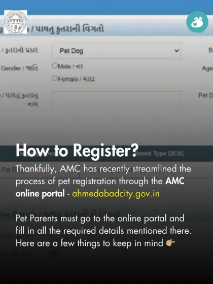 The Pack - Online Pet Parent Community A Voice for Every Dog photo 4