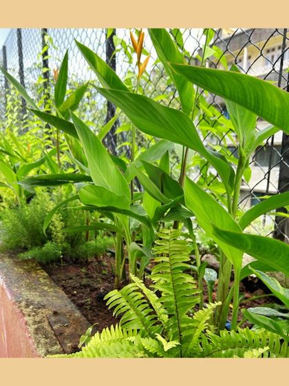 Large-Scale Edible Landscapes photo 3