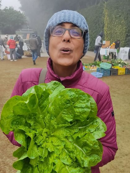 A customer holding a huge bunch of fresh butterhead lettuce, showing its impressive size and freshness.
