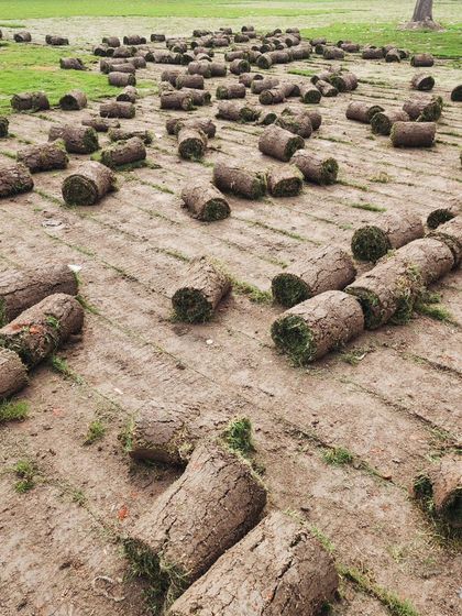 Delhi Gardner - Full-Service Landscaping Premium Lawn & Turf Solutions photo 59