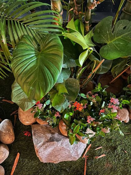 Set Greening for Shoots & Productions photo 15