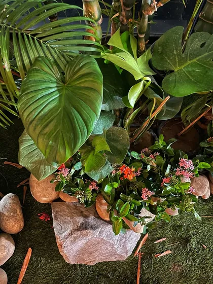 A close-up of a detailed plant arrangement on the set. I combine different textures, like large philodendron leaves, smaller flowering plants, and natural stones, to create a rich, realistic ground cover.