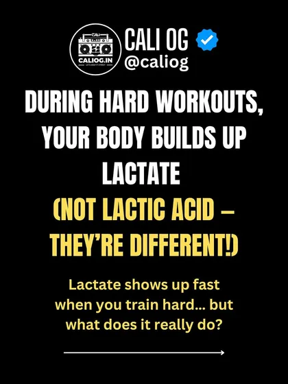 Myth vs. Fact: Lactic acid does not cause muscle soreness. That feeling is actually DOMS (Delayed Onset Muscle Soreness) from tiny muscle tears. Your body clears lactate within an hour of exercise.