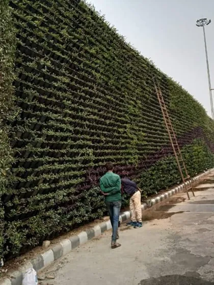 This is one of the largest living wall projects I have completed. Covering a long boundary wall, this installation shows my capability to execute large-scale landscaping and biowall projects for commercial clients.