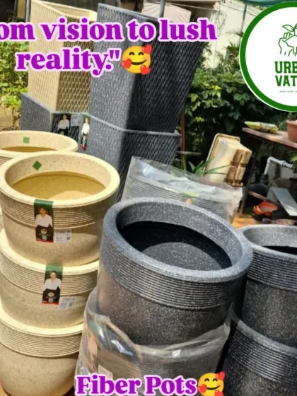 Finding the right pot is key. I offer a wide range of durable and stylish fiber and FRP pots that are perfect for both indoor and outdoor use.
