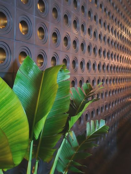 A modern application of breeze blocks. These concrete blocks, inspired by mid-century and Brutalist architecture, are used here to create a functional and decorative wall that plays with light and shadow.